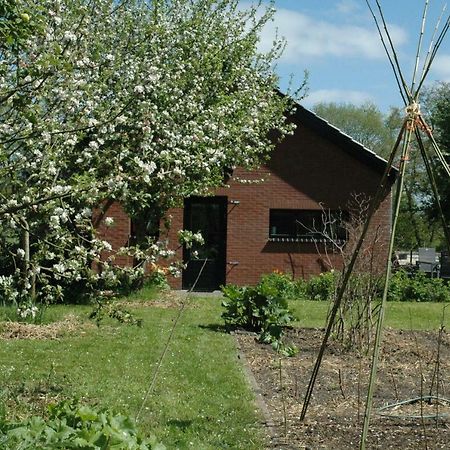 Gastenverblijf Op Het Graveland Zevenhuizen  Esterno foto