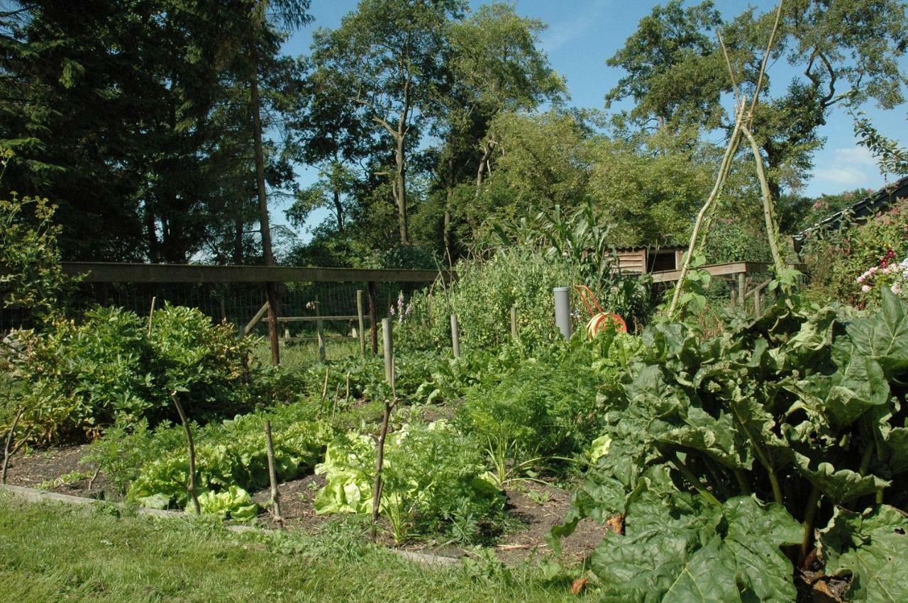 Gastenverblijf Op Het Graveland Zevenhuizen  Esterno foto