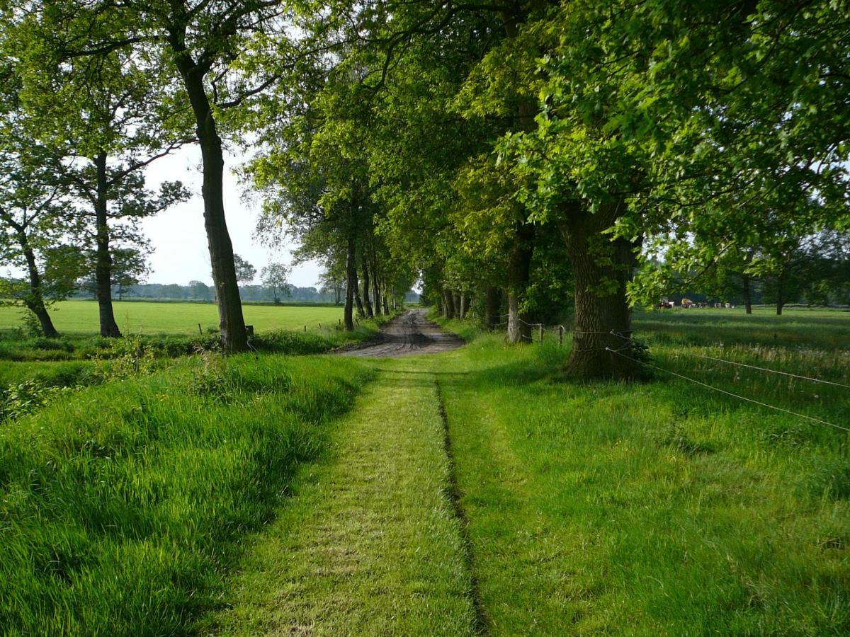 Gastenverblijf Op Het Graveland Zevenhuizen  Esterno foto